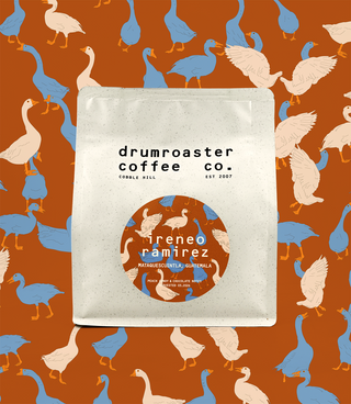 Ireneo Ramirez Guatemala Coffee Beans, view 2 – Drumroaster Coffee